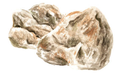 Ambergris T Oliffac